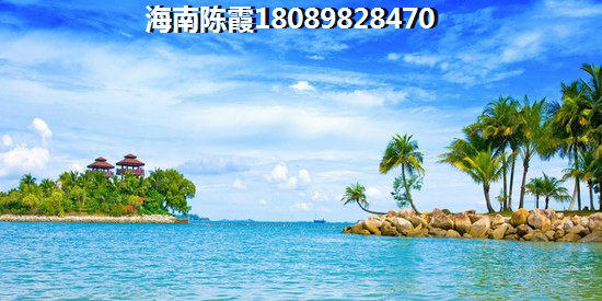 碧桂园海棠盛世叠拼户型（海南海景小区醉便宜的地方）